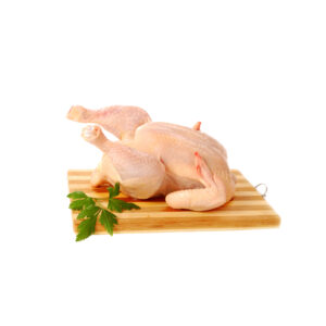 plain chicken meat
